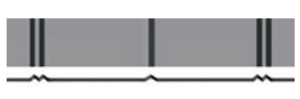 Regular Ribbed