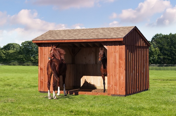 10x14RunInShed