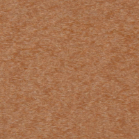 Cedar