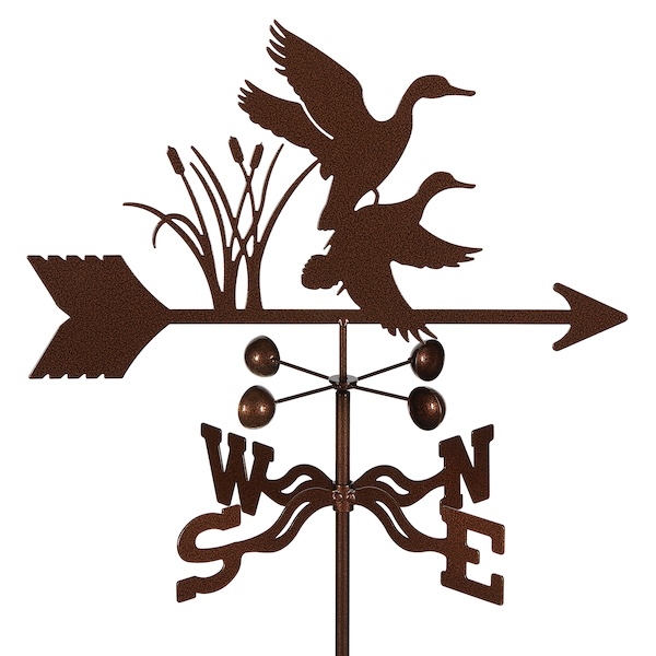 EZ1023_Bird_Ducks