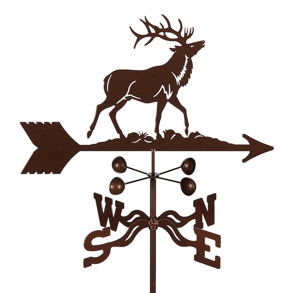 EZ1084_Elk EZ1084_Elk