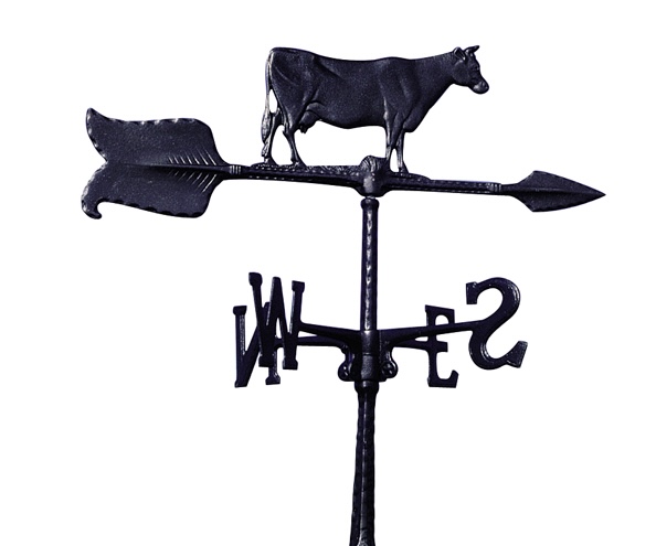 WH76_Cow