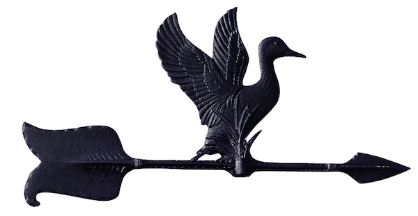 WH77_Duck