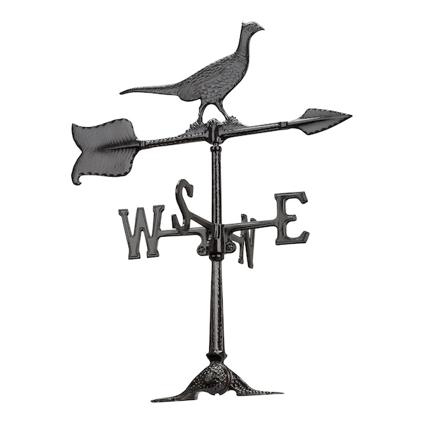 WH78_Pheasant