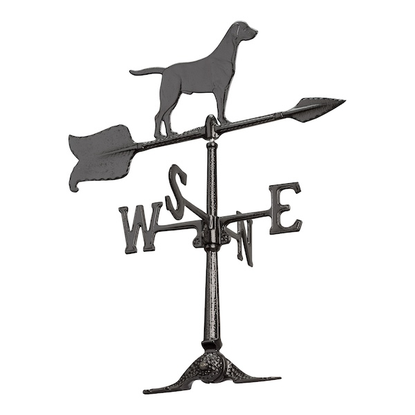 WH79_Retriever