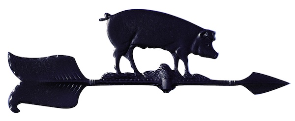 WH81_Pig