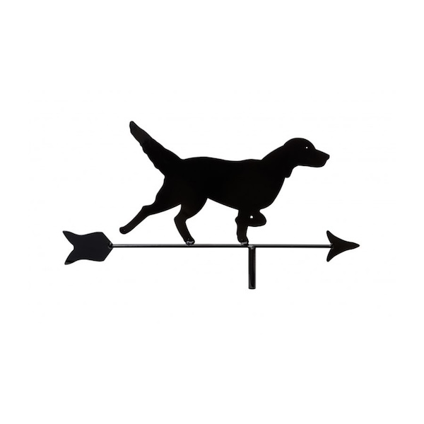 WV17Pointer - 1