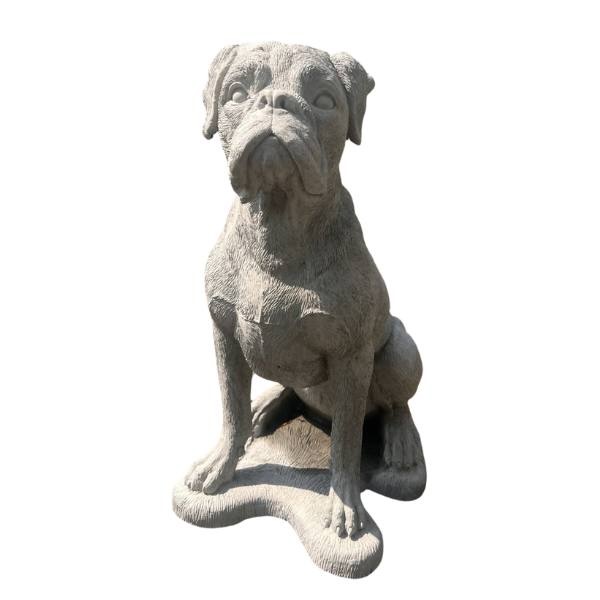 Boxer - 1