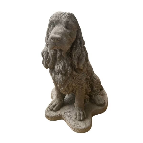 CockerSpaniel - 1