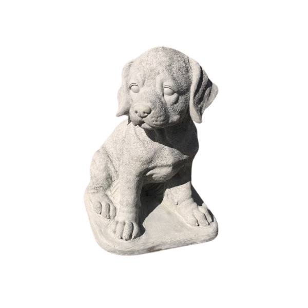 LabPup - 1