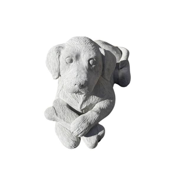 SmallLabwBone - 1