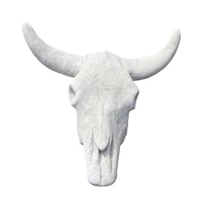 Steer Skull