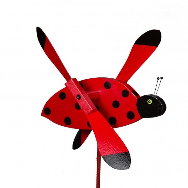 ladybug