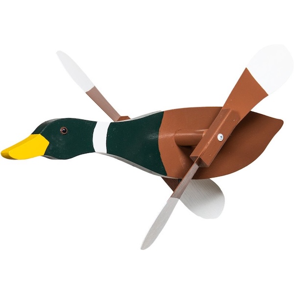 mallard