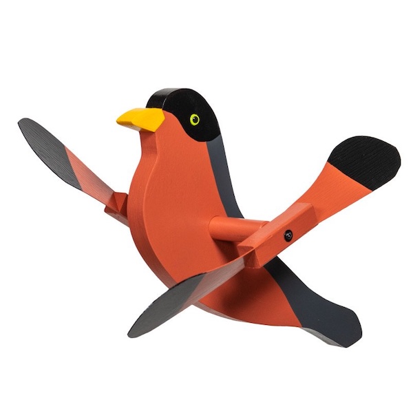 robin