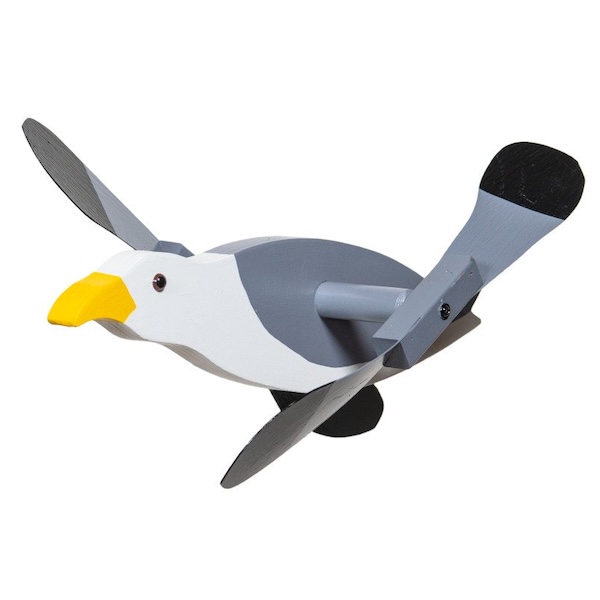 seagull