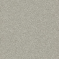 Dove Gray