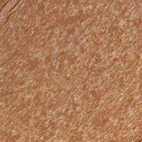 Cedar