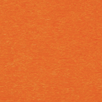 Bright Orange