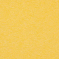 Lemon Yellow