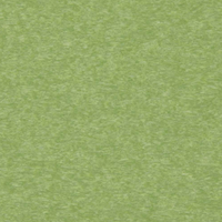 Tropical Lime Green