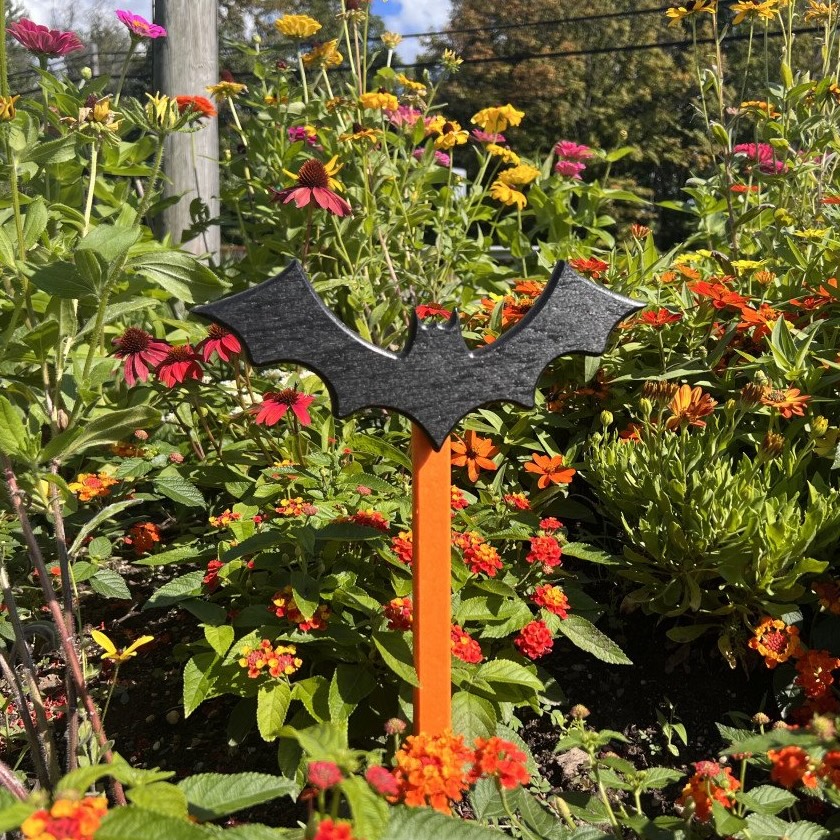 Bat-Outdoor
