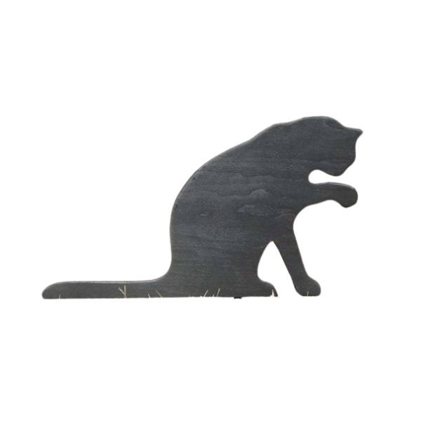 CatPaw - 1