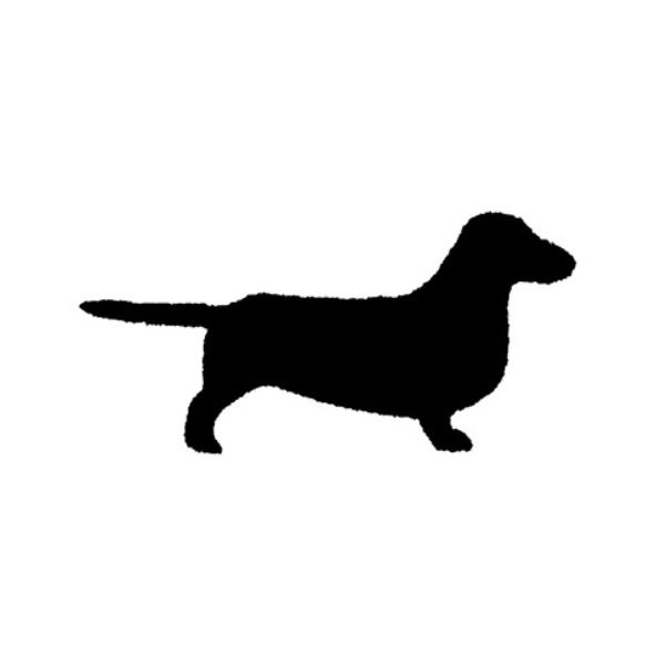 Dachshund - 1