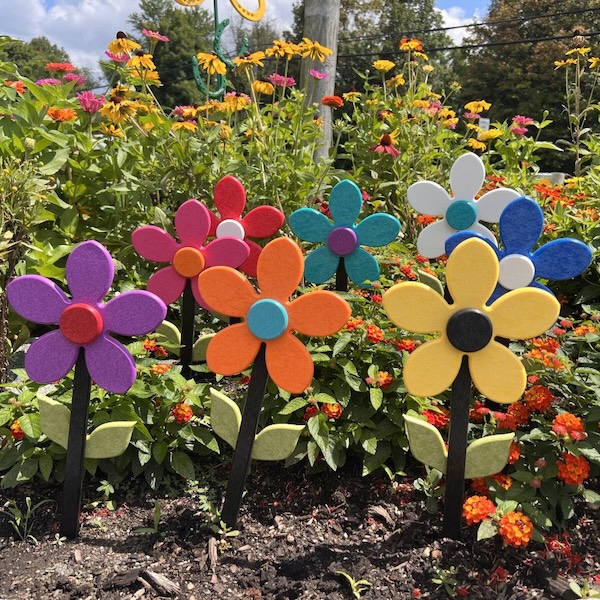 Daisy-Grouped-1