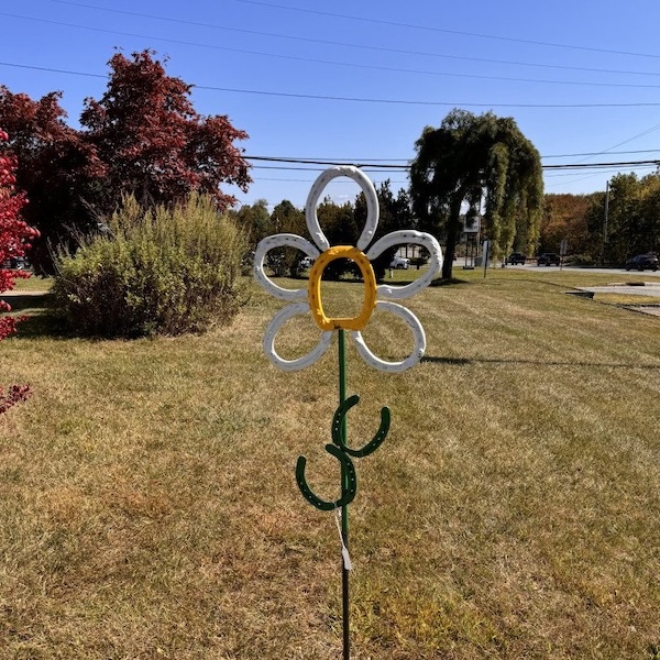 DaisyHS