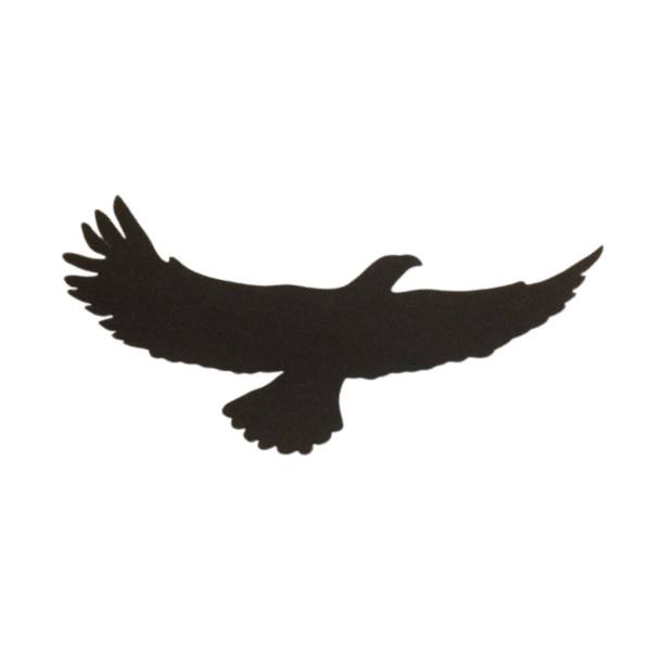 FlyingEagle - 1