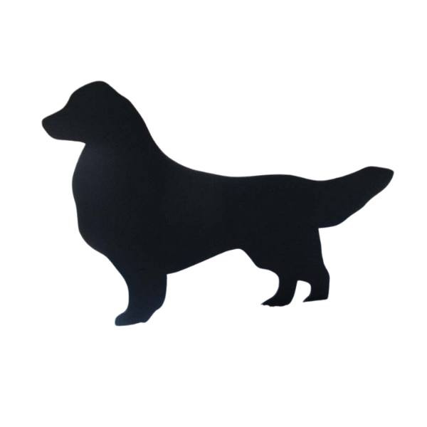 GoldenRetriever - 1