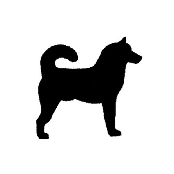 Husky - 1
