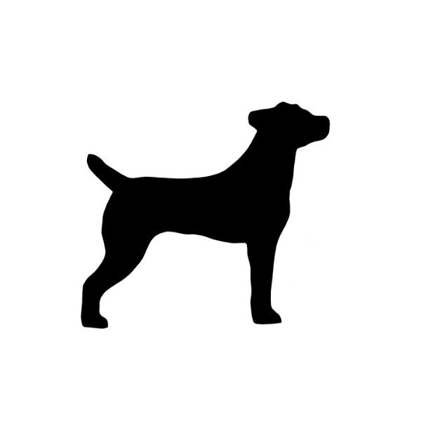 JackRussell - 1