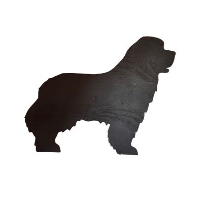 Newfoundland