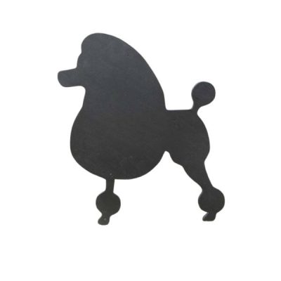 Mini Poodle