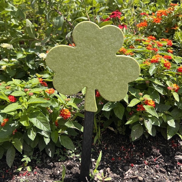 Shamrock-Outside