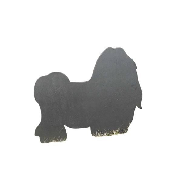 ShihTzu - 1