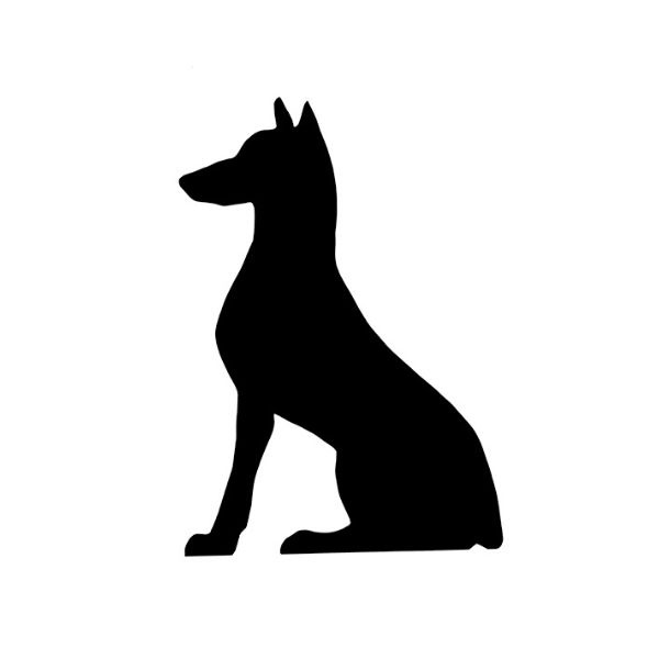 SittingDoberman - 1