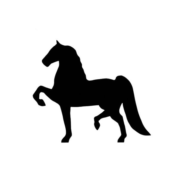 SmallHorse - 1
