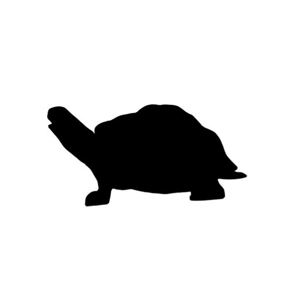 Turtle - 1