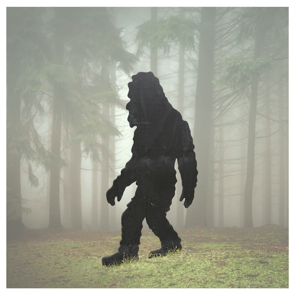 small-yeti