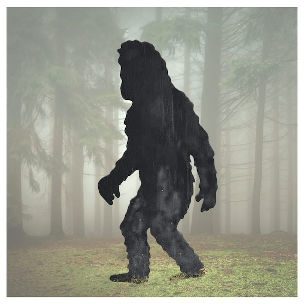 yeti
