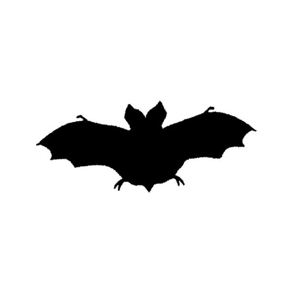 Bat - 1