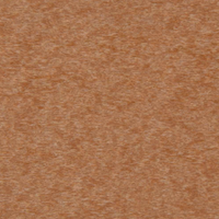 Cedar