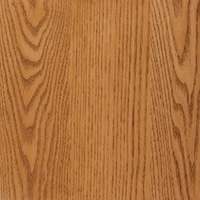 MX Stain