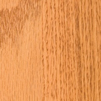 S2 Stain