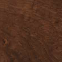 Stain English Chestnut