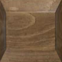 Stain Primitive Cream